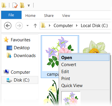 Embird Iconizer running on background of Windows Explorer