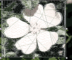 Sfumato Stitch - areas selected with second mask