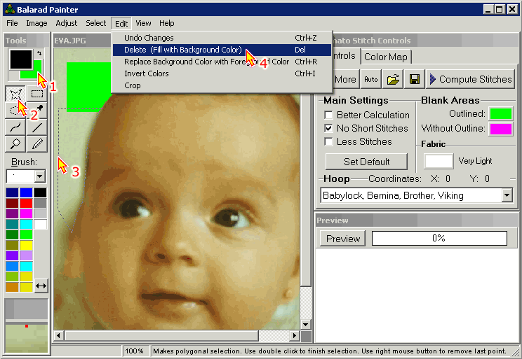Embird Tutorial - Sfumato Stitch (old version): Creating Design